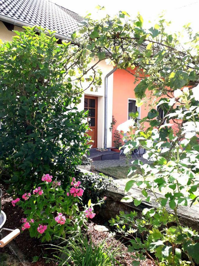 Ferienwohnung Adams Hinterweiler Экстерьер фото